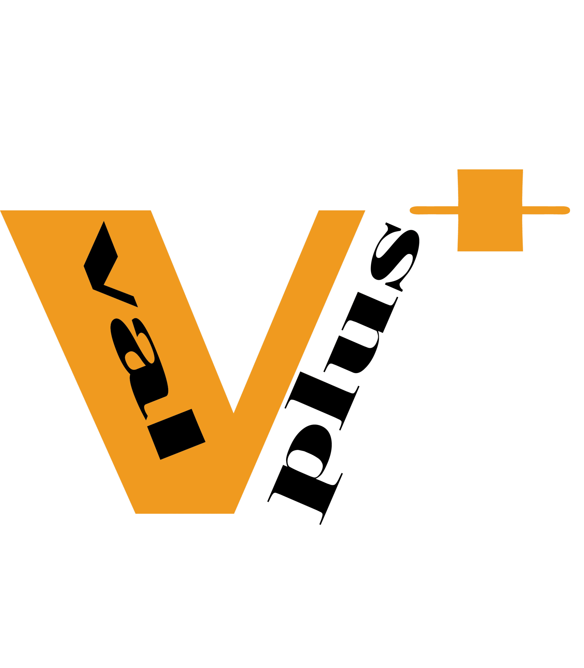 logo val plus